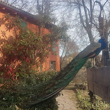 Piccola Raieda Hotel