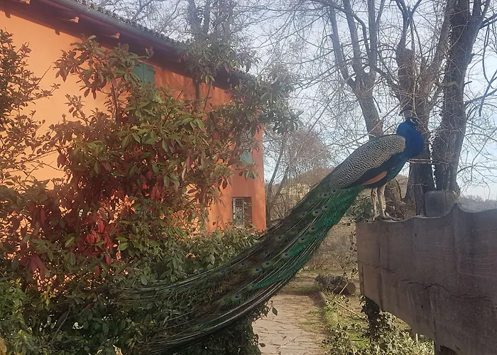 Piccola Raieda Hotel