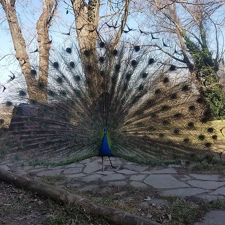 Hotel Piccola Raieda Lama (Bologna)