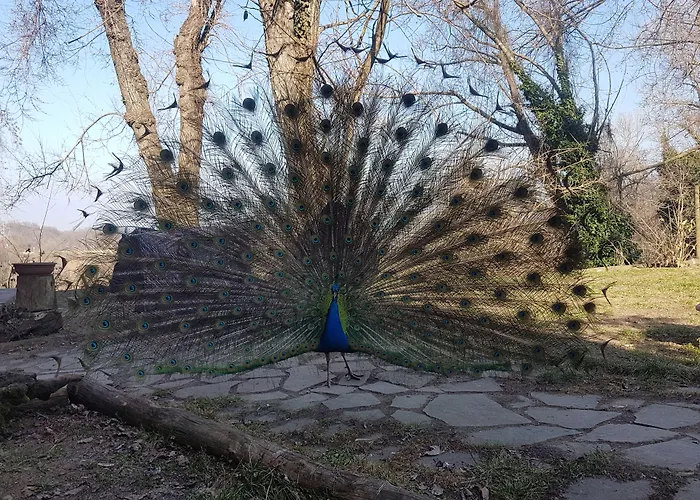 酒店 Piccola Raieda Lama (Bologna)